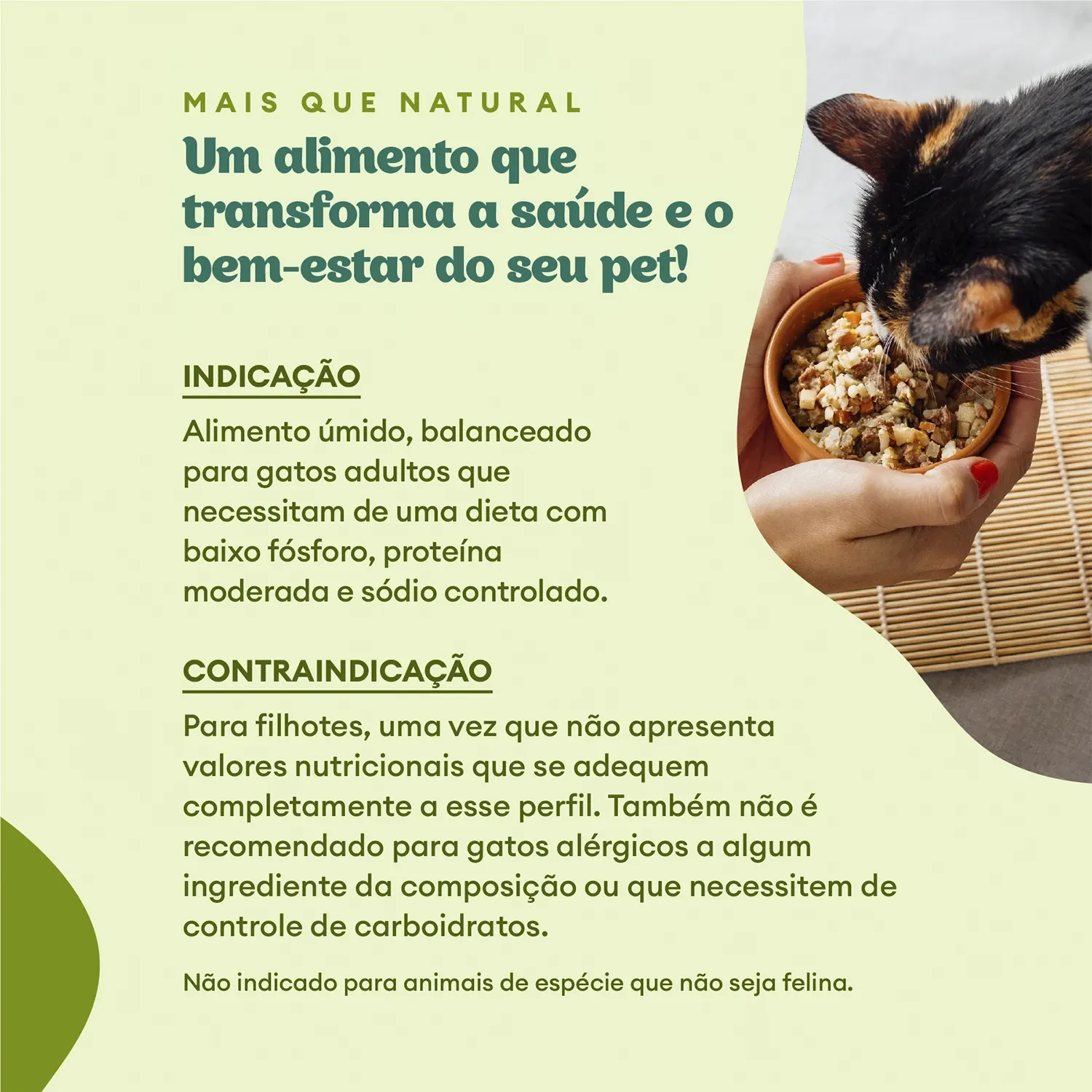 Ração Úmida Pet Delícia Gatos Control Baixo Fósforo
